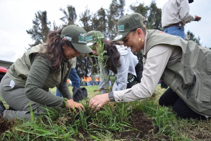 Reforestación, pilar fundamental para restauración de suelos forestales: Cofom