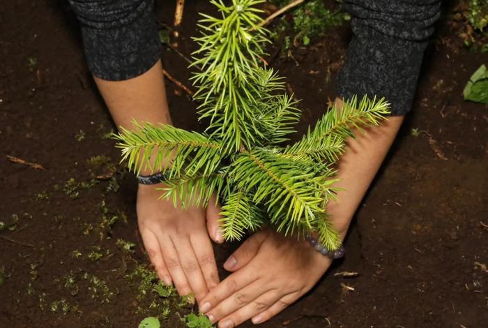 Noticias de Michoacán
