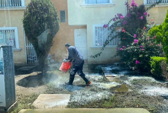 Refuerza Gobierno de Morelia acciones de fumigación en Hacienda Tiníjaro