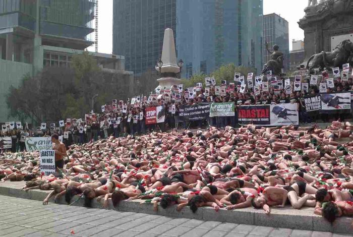 Repudio total a la corrida de toros: activistas exigen aplicar la ley