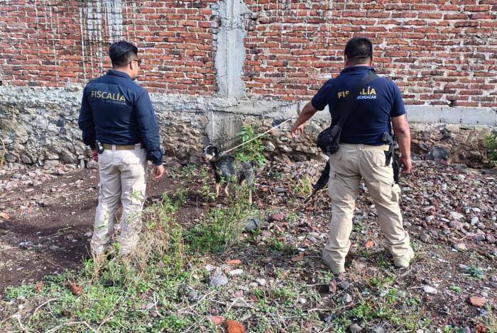 Rescatan a tres perros maltr4tados en predio de Jiquilpan