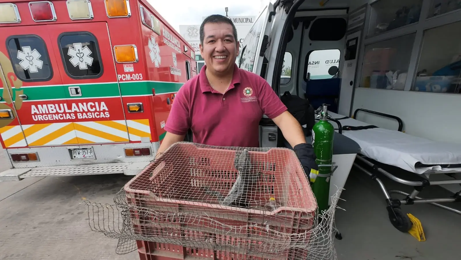 Rescatan Iguana Negra en Panindícuaro