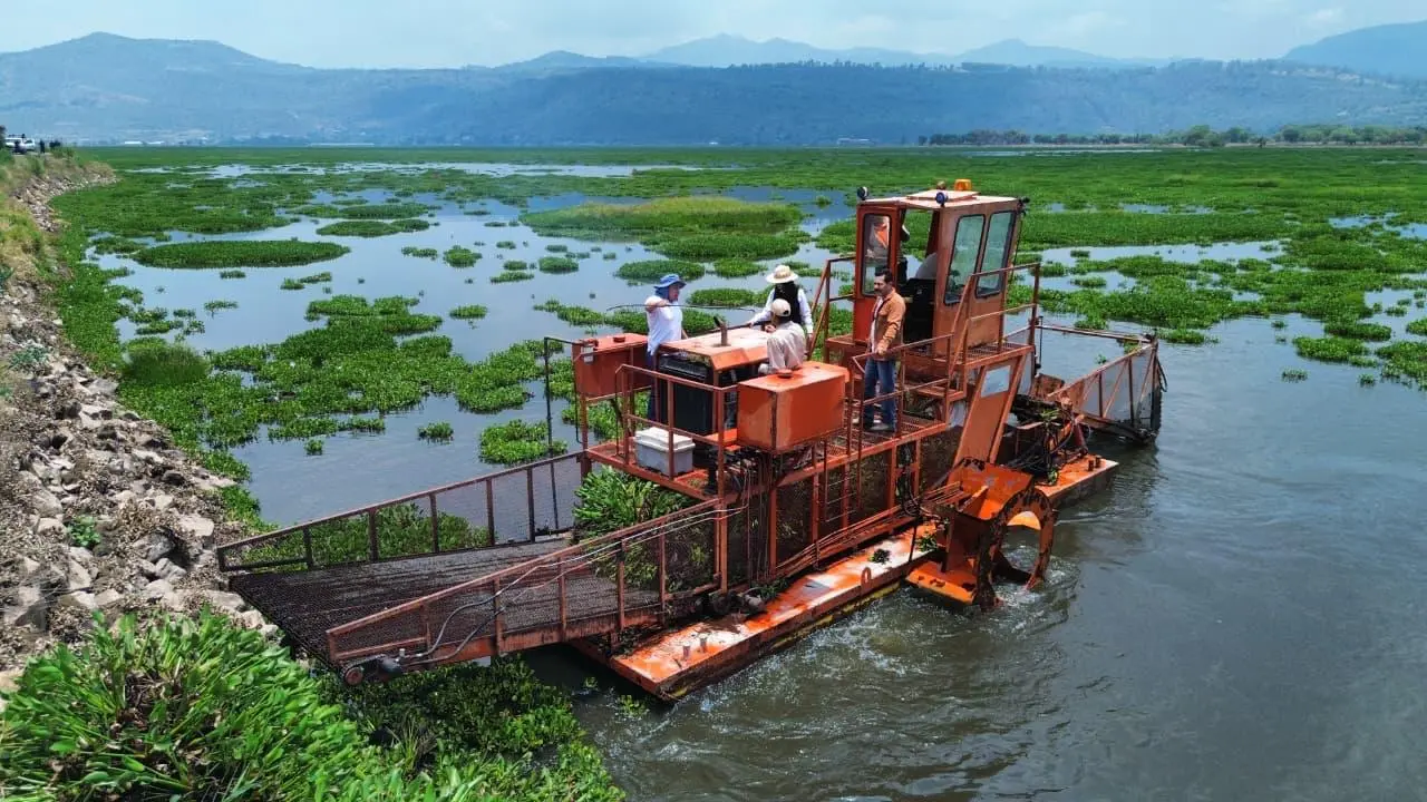 Rescatan presa Malpaís: arrancan limpieza de 80 hectáreas para fortalecer pesca, campo y agua en Queréndaro