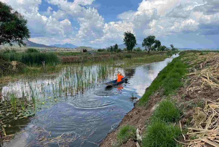 Rescate del canal de Erongarícuaro revitaliza ecosistema y economía local: Compesca