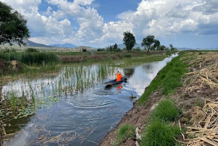 Rescate del canal de Erongarícuaro revitaliza ecosistema y economía local: Compesca