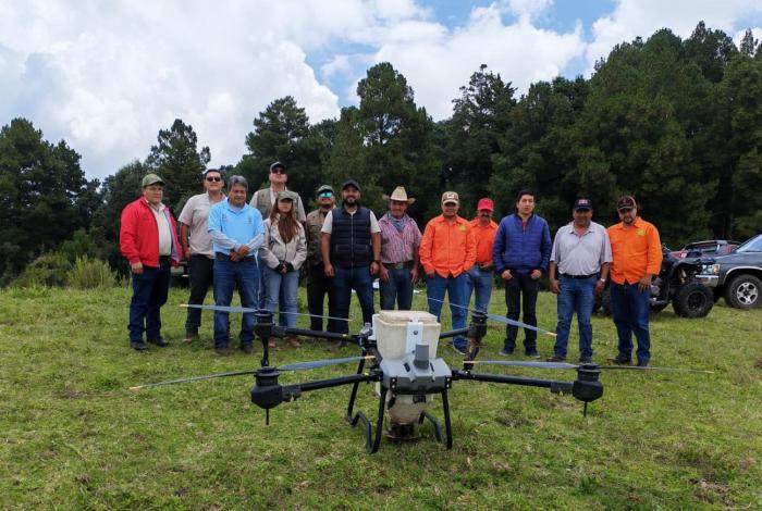 Restauran bosques de Tlalpujahua con la dispersión de 6 mil germoesferas