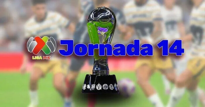 Resumen de la Jornada 14 del Apertura 2024 de la Liga MX