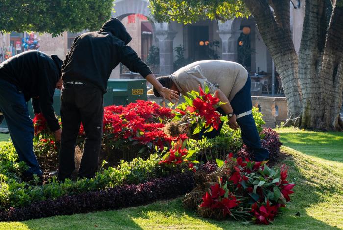Retiran decorados y luminarias navideños del centro de Morelia