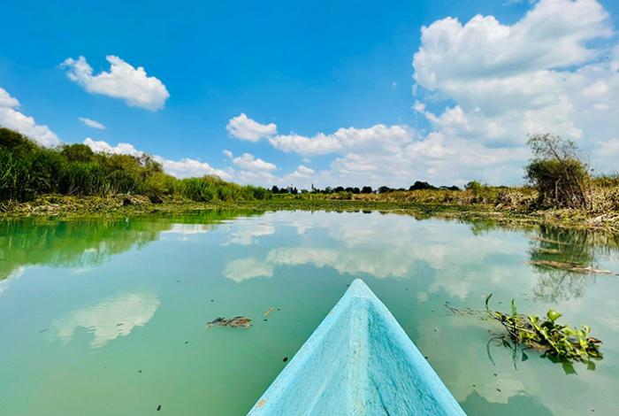 Retiran más de mil metros cúbicos de tule, carrizo y lirio acuático en La Mintzita