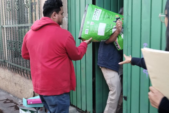 Revisan inmueble donde se encontró a 60 perros