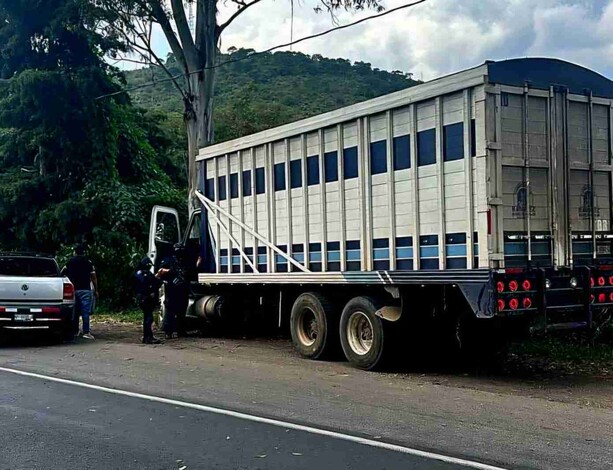 Roban un camión aguacatero y disparan a policías en su camino