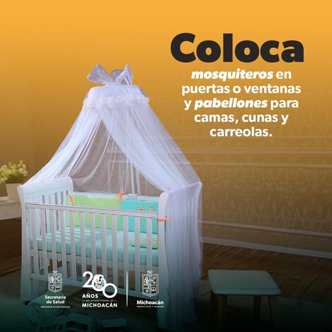 #Salud | Combate contra el dengue, prioridad de salud pública en Michoacán: SSM