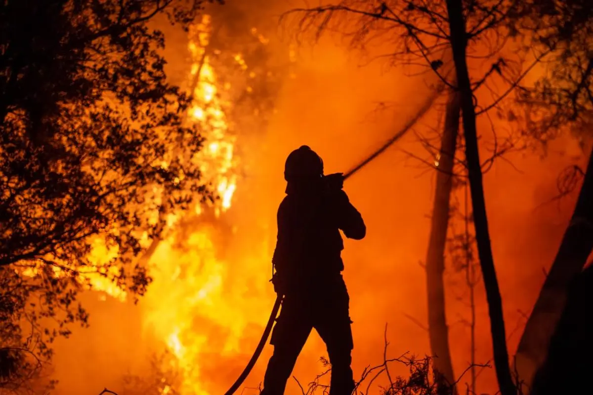Se declarará emergencia en la Patagonia argentina tras incendios fuera de control