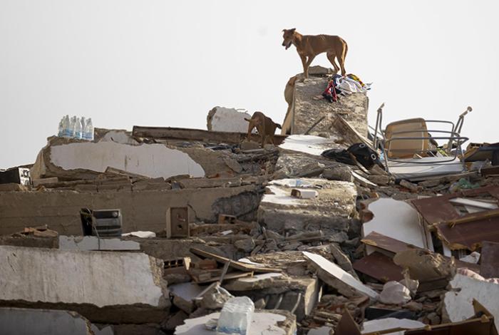 Se elevan a 589 las personas fallecidas por los dos terremotos en Venezuela