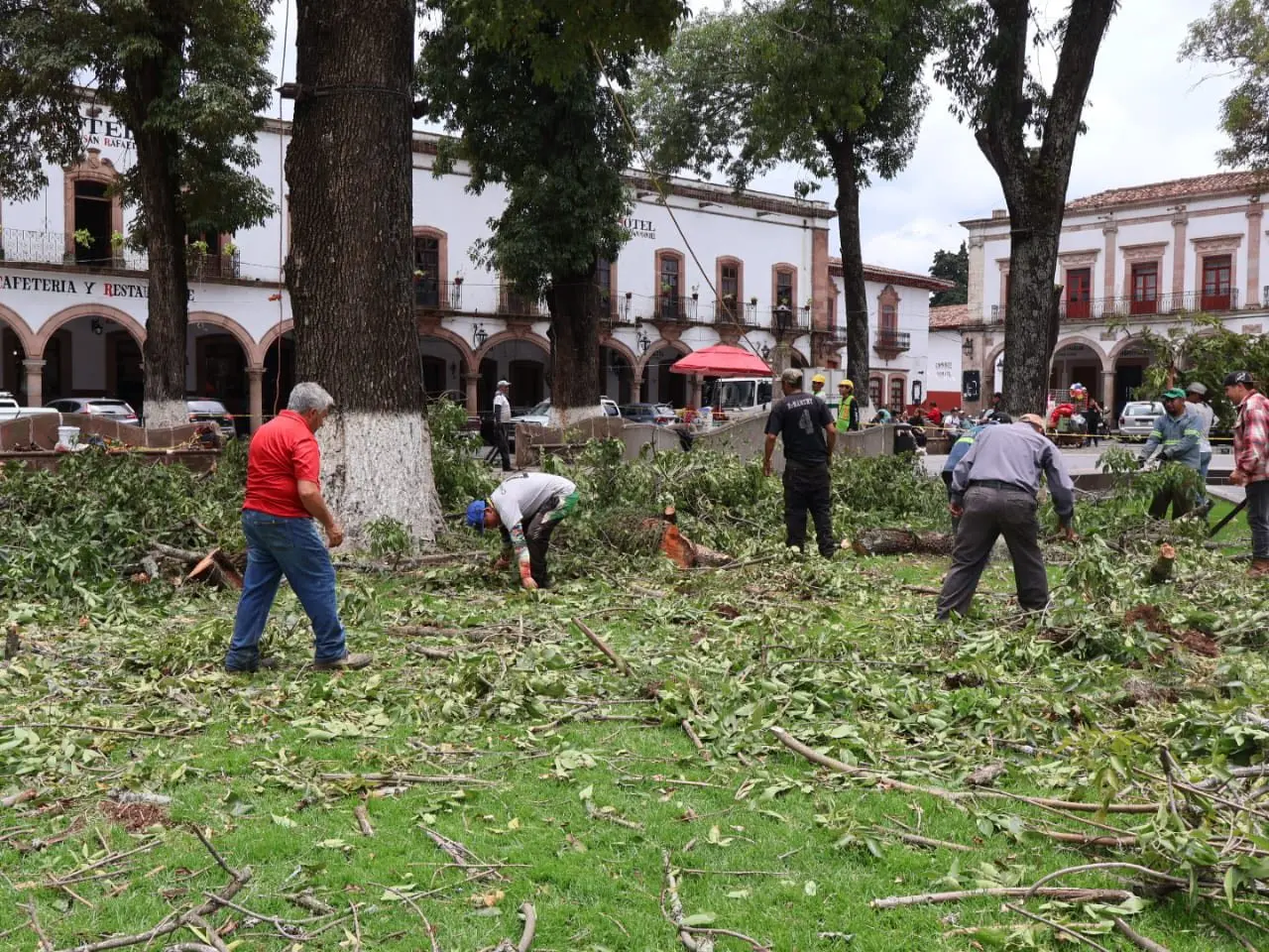 Se lleva a cabo poda necesaria de árboles en la plaza principal de Pátzcuaro