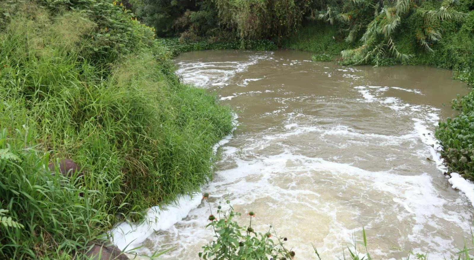 Se registra gran incremento en ríos y drenes de Morelia, por lluvias y desfogue en presa de Cointzio