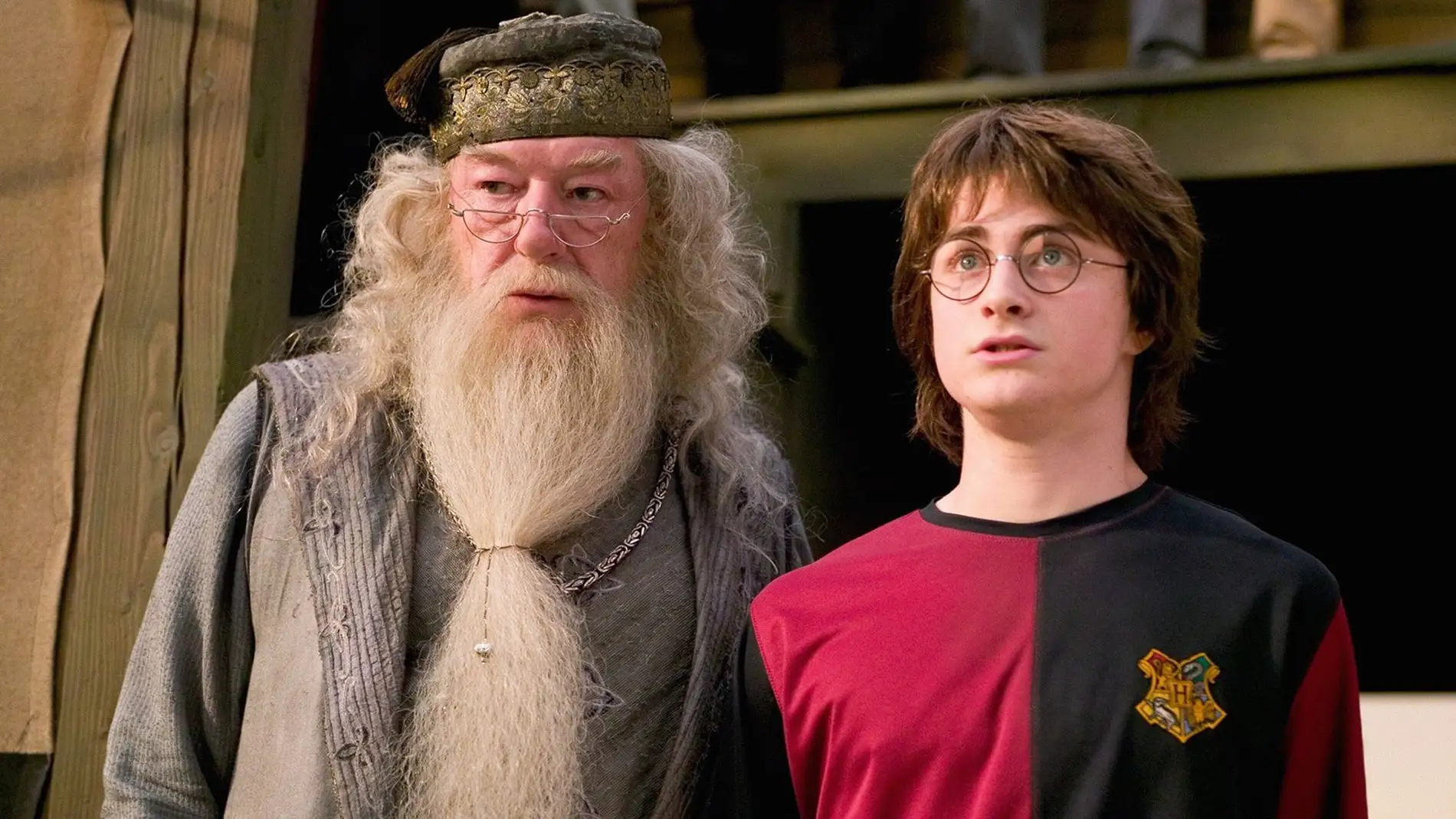 SeCultura Morelia te invita al Maratón de Lectura de Harry Potter