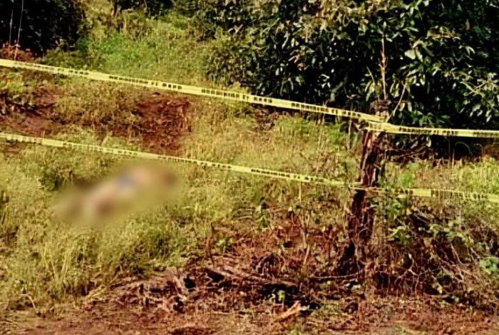 Semidesnud0 y deg0ll4d0, dejan cuerp0 tirado en huerta de aguacate