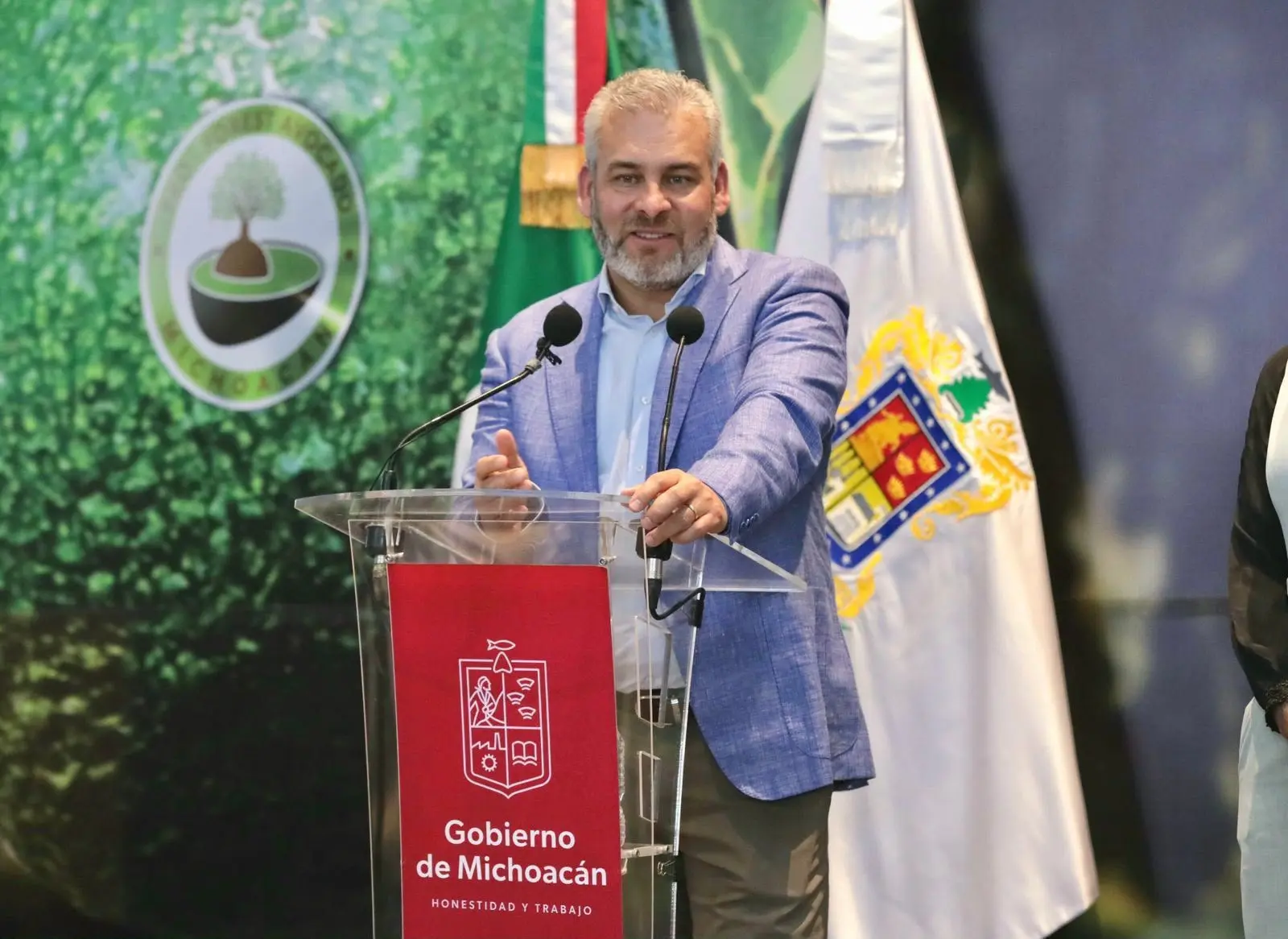 Senadores y diversas ONG de EE.UU. respaldan certificación ProForest Avocado de Michoacán: Bedolla