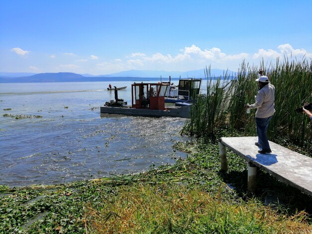 Sequía provocó pérdida total de 10 mil toneladas de charal en Lago de Cuitzeo