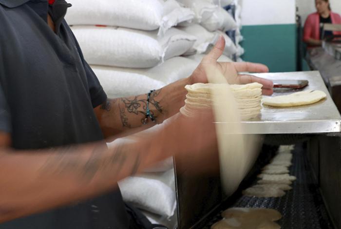 Sheinbaum admite leve alza en precio de tortilla y apuesta por tortillerías de productores