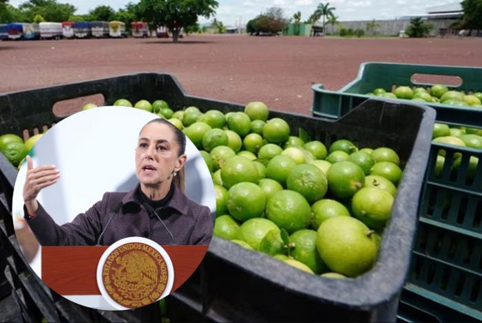 Sheinbaum envía iniciativa prevenir, investigar y sancionar la extorsión de manera unificada en todo el país