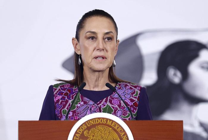 Sheinbaum pide revisar norma tras sacrificio de 10 mil perros callejeros en Estado de México