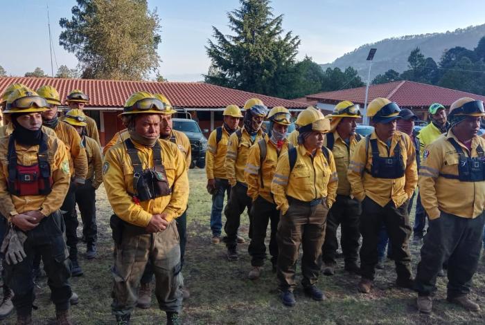 Sin incendios activos en Michoacán; brigadistas logran control de siniestros: COFOM