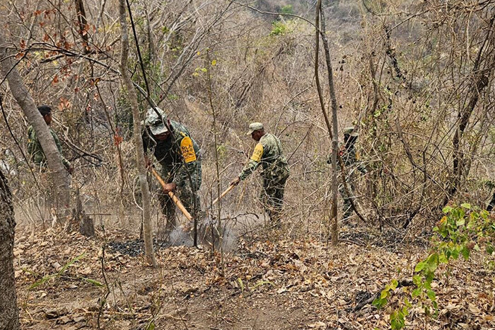 Sofocado más del 90% del incendio en Chucutitan, en LC