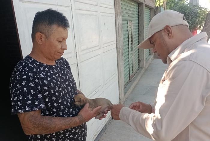 SSM vacuna a más de 104 mil perros y gatos contra la rabia en Michoacán