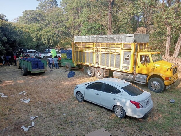 SSP y Defensa detienen a 14 presuntos implicados en robo de 160 cajas de aguacate