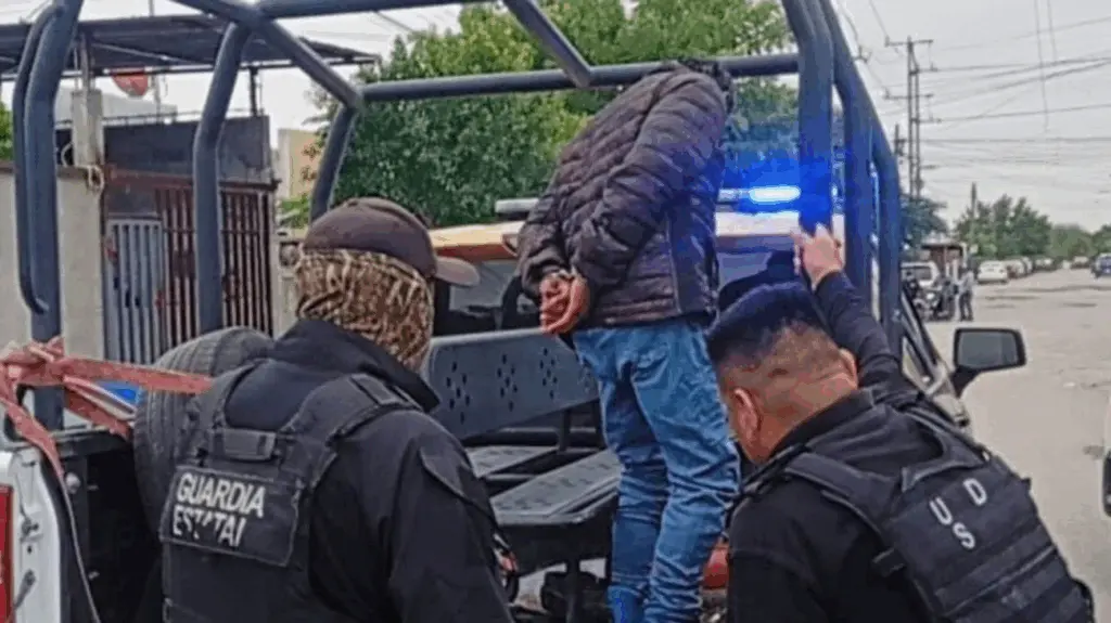 Sujeto es vinculado a proceso por matar tres gatos en Reynosa, Tamaulipas