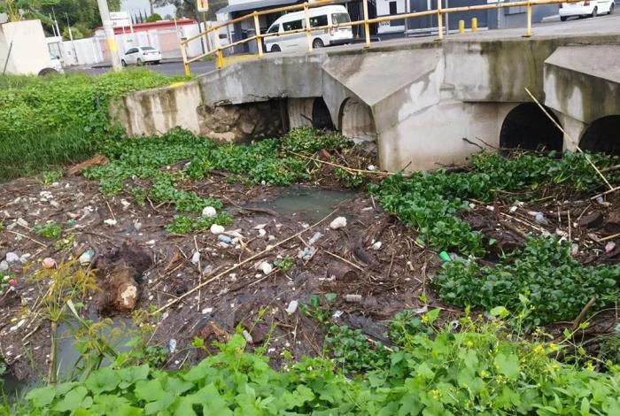 Tapón de basura colapsa dren en Morelia y obliga a retiro de toneladas