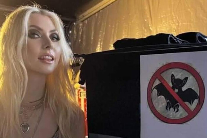 Taylor Momsen fue mordida por un murciélago en pleno concierto