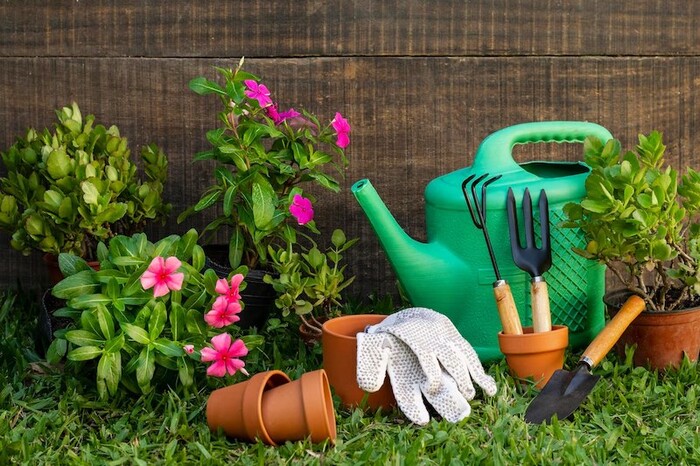 Técnicas avanzadas para el cuidado de jardines extensos