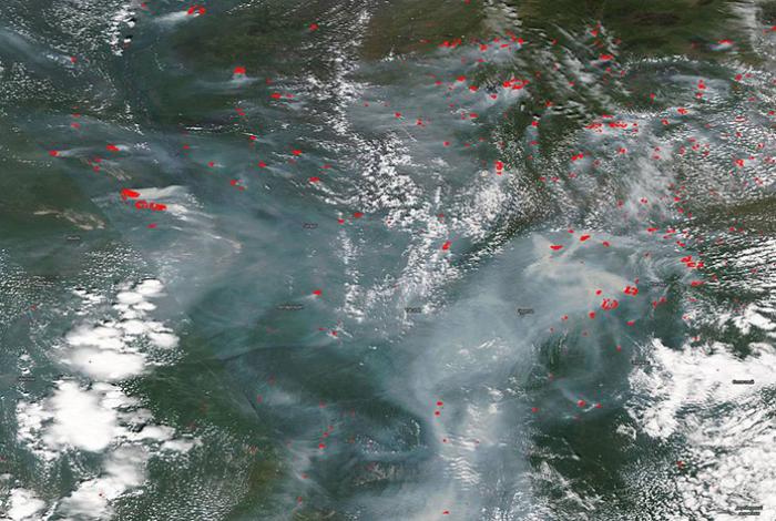 Temperatura global de la superficie del mar bate récords en junio, según Copernicus