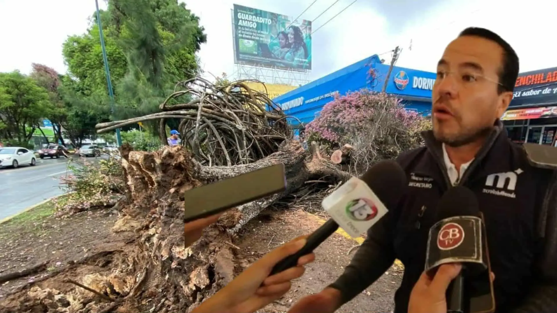 Temporada de lluvias en Morelia, ha dejado más de 30 árboles caídos