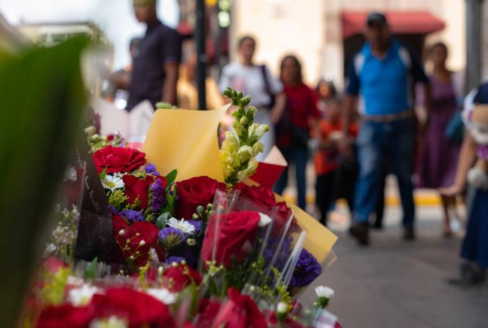 Tolerados para Día de la Madre, 192 comerciantes populares