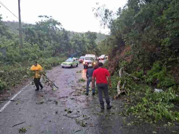 Tormenta Tropical Chris deja severas afectaciones en Veracruz