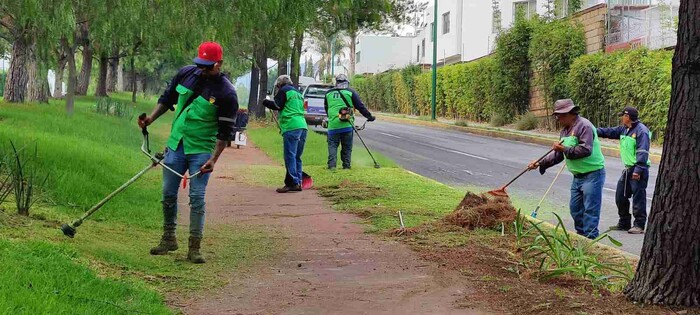 Trabaja Gobierno de Morelia en limpieza de camellones al sur de Morelia