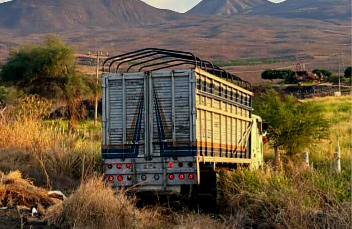 Tragedia en la Buenavista – Apatzingán; hay 2 muertas y 2 heridos tras aparatoso accidente