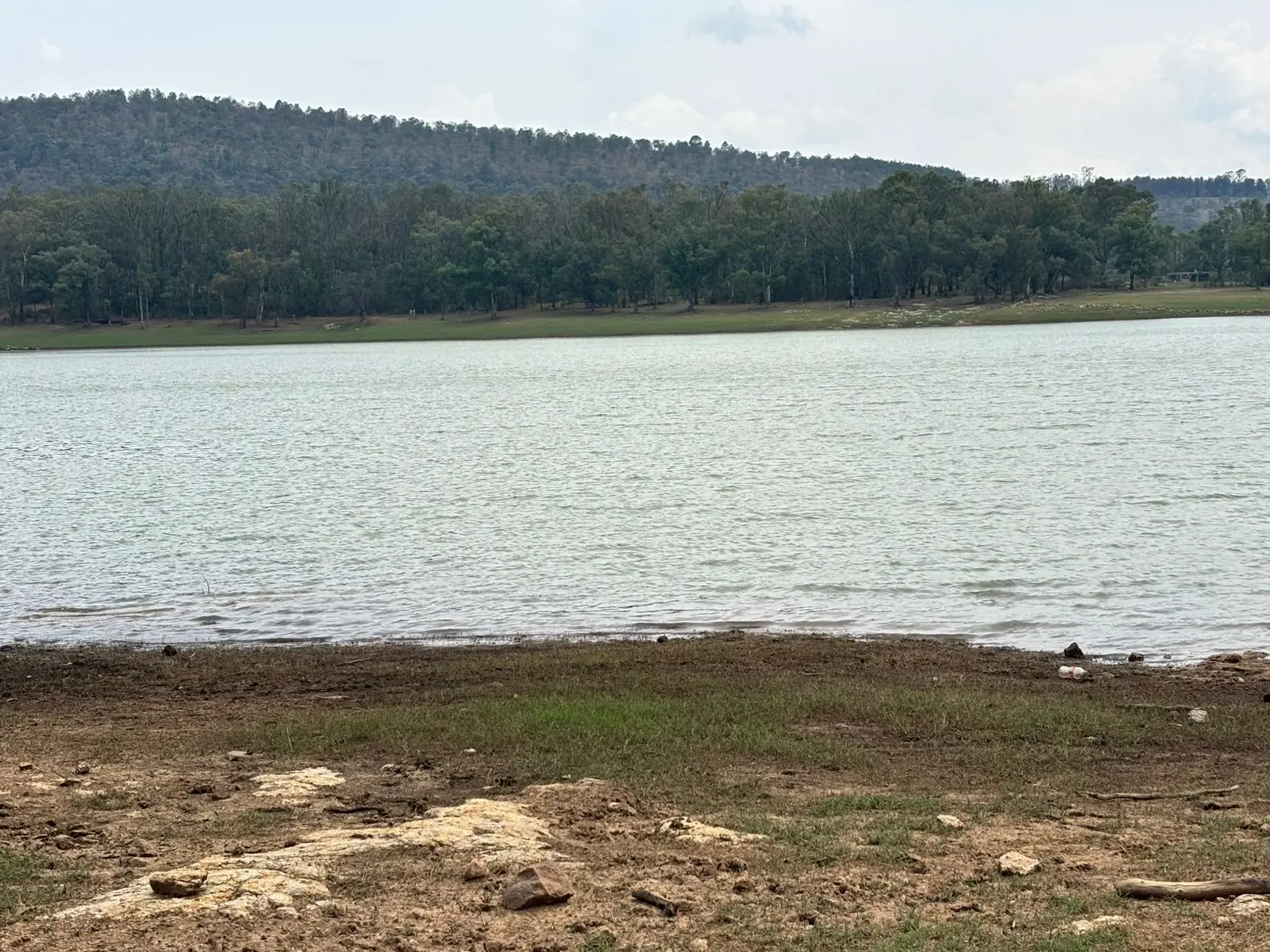 Tragedia en la presa de Cointzio: muere adolescente ahogado tras caer de su caballo