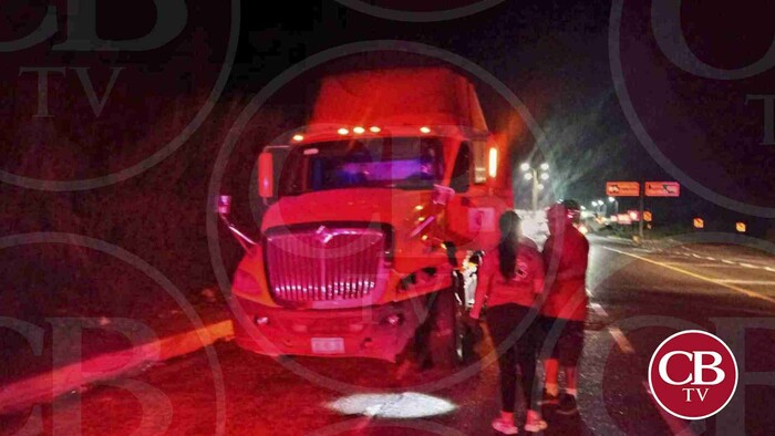 Tráiler casi vuelca por atropellar una vaca en la Siglo XXI