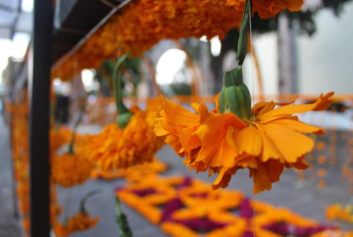 Turismo en Noche de muertos se ha descentralizado de Pátzcuaro, considera Sectur