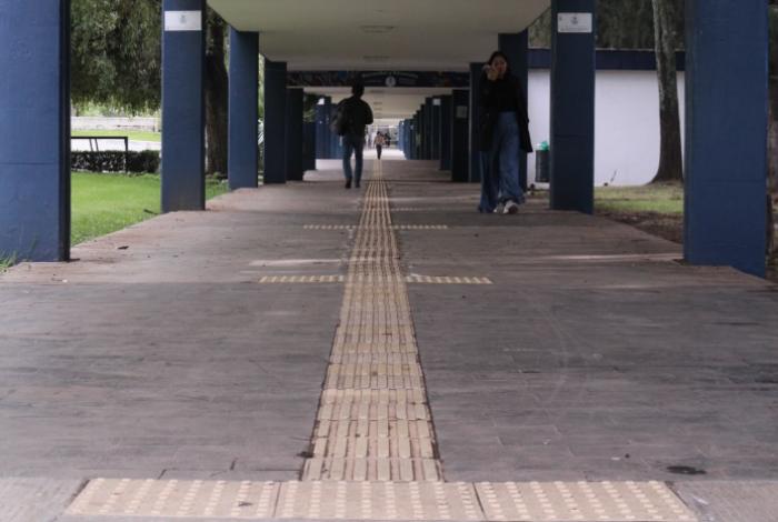UMSNH implementa acciones para construir una universidad más inclusiva