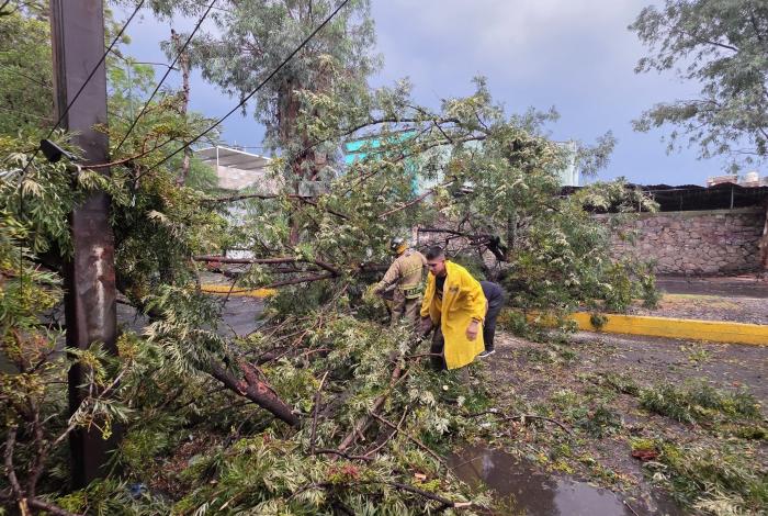 Un muerto, arboles caídos y encharcamientos, tras fuerte tromba que azotó a Zamora