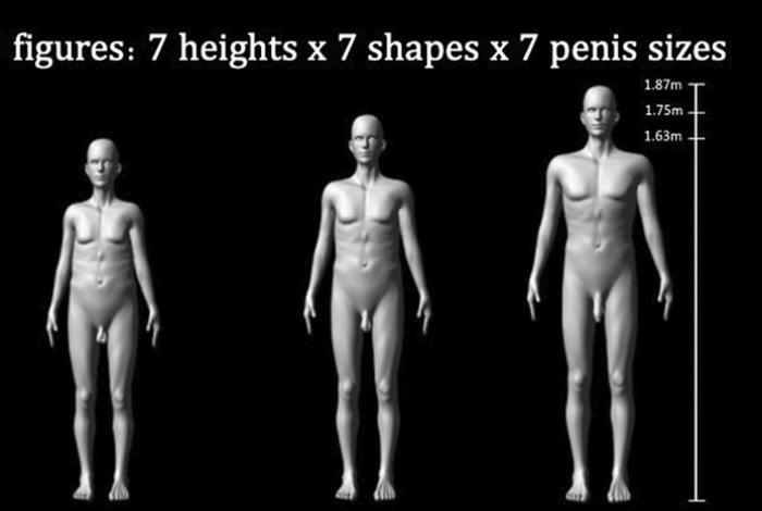 Un pene grande es sexualmente atractivo para ellas y una señal de fuerza para ellos