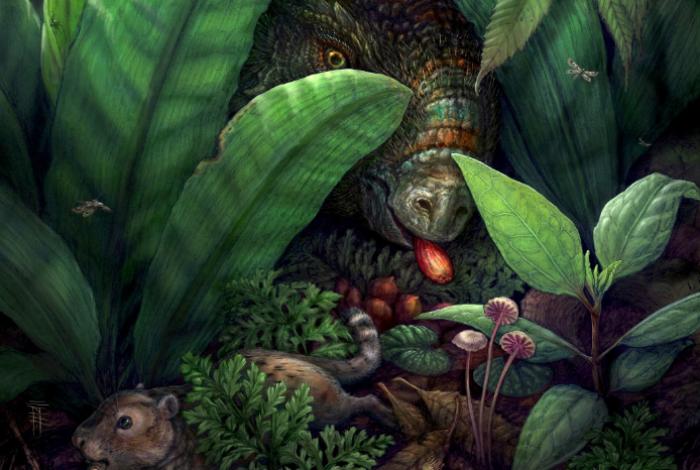 Una 'Pompeya' de plantas en Nuevo México revoluciona la historia de las plantas con flores