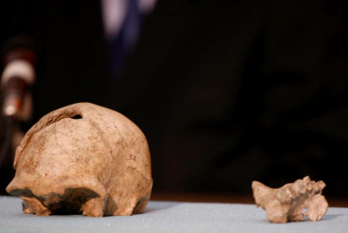 Una recreación virtual de fósiles revela una cara más primitiva de Homo erectus en Etiopía