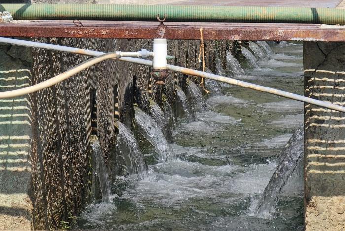 Va ‘Guardianes del Agua’ por 650 mil litros ahorrados al año